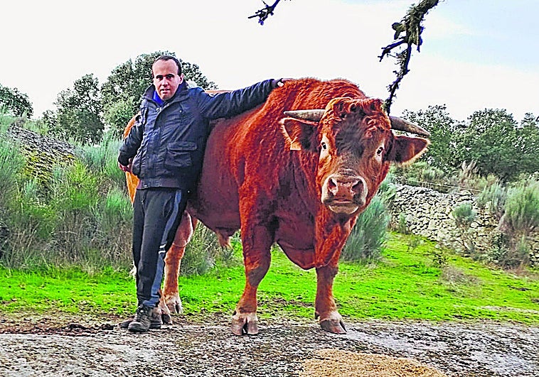«Sueño con tener vacas y ovejas, pero el lobo...»